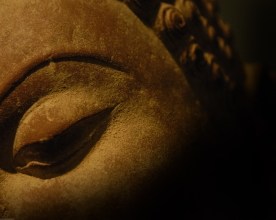 shadow_of_the_buddha_1