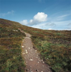 caminoide