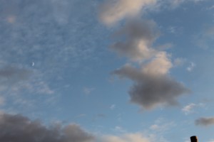 IMG_0393