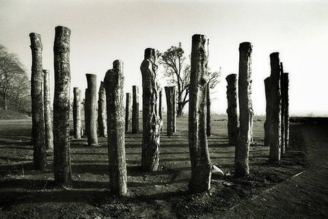 ‘Pillars of Knowth’. Photo by Mary Hartfelder