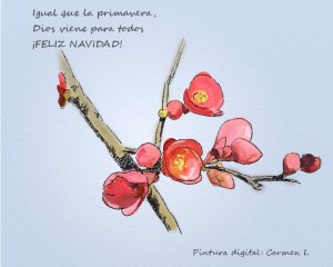 flores pink