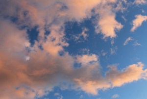 IMG_0545