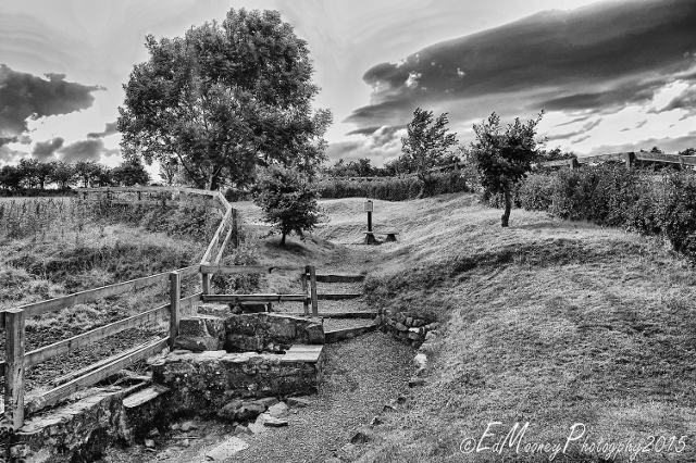 Tobar Bo Finn (1)