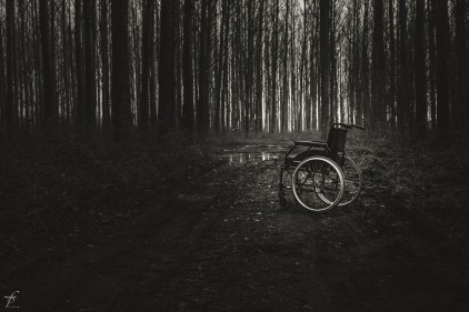 wheelchair-567807_1280