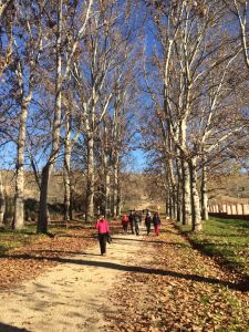 img-20161230-wa0010