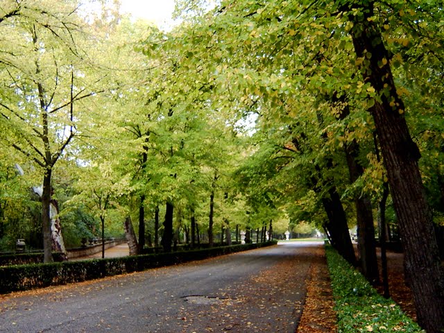 hoyllueve005